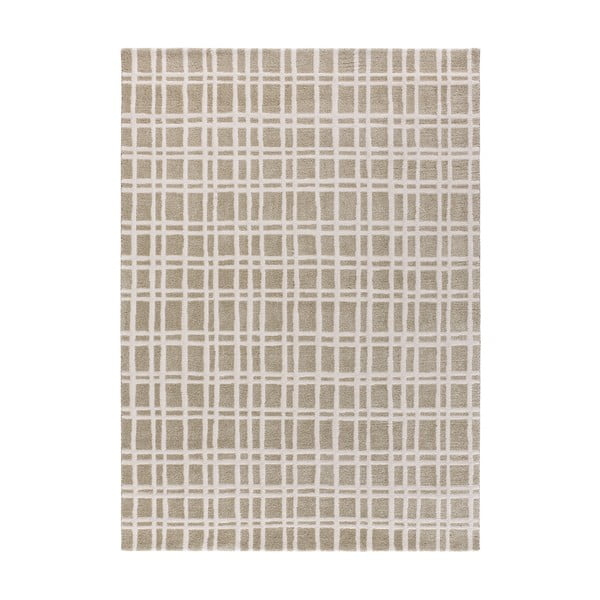 Svetlozelený koberec 120x170 cm Caledonia – Universal