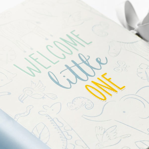 Denník pre bábätko 98 str. Blue – Busy B-image-1