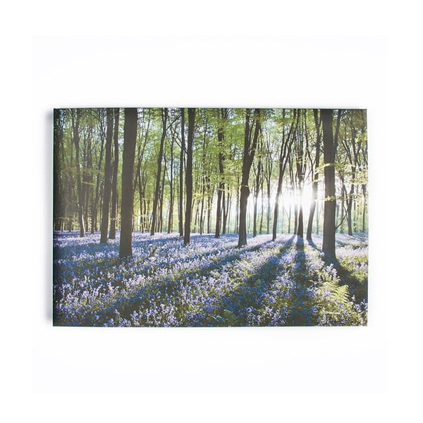 Obraz Graham & Brown Bluebell Landscape, 100 × 70 cm