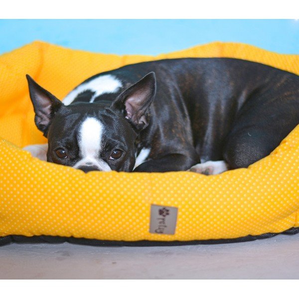 Žltý bavlnený pelech 75x60 cm Sunny - Petsy-image-1