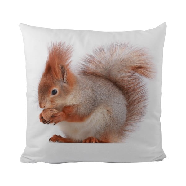 Vankúš This Squirrel, 50x50 cm