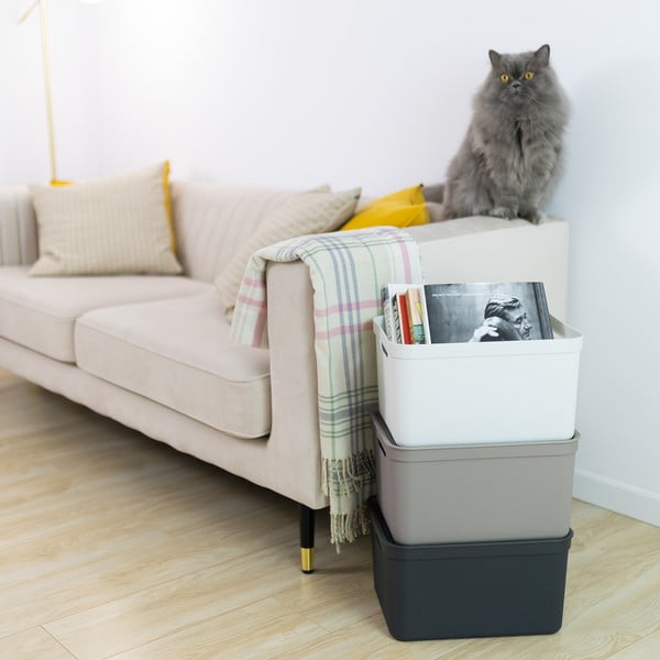 Plastový úložný box s vekom Deco - Rotho-image-1