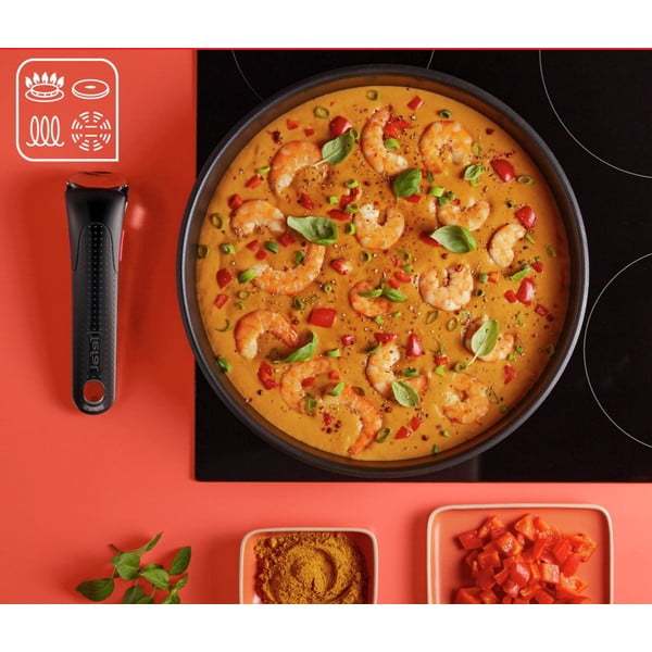 Antikoro súprava riadu 13 ks INGENIO Emotion L897DS04 – Tefal-image-3