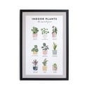 Nástenný obraz v ráme Really Nice Things Indoor Plants, 30 x 40 cm