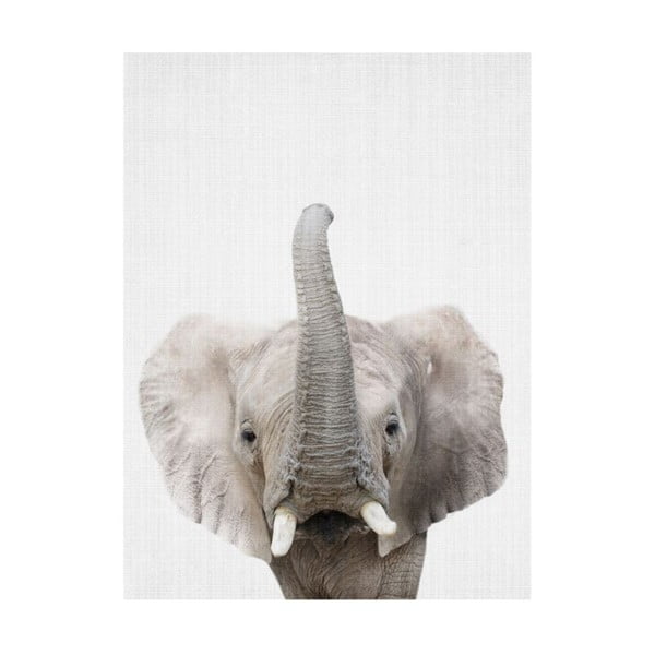 Plagát Blue-Shaker Baby Animals Elephant, 30 x 40 cm
