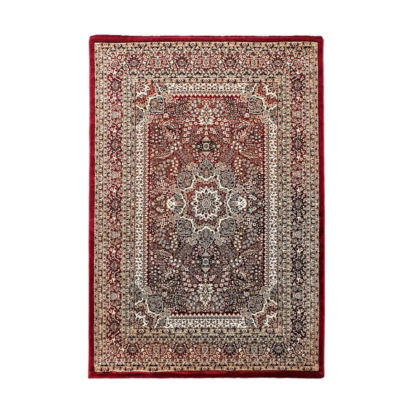 Vínový koberec 240x340 cm Marrakesh – Ayyildiz Carpets