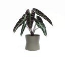 Keramický kvetináč ø 20 cm Diana – Artevasi