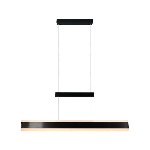 Matne čierne LED závesné svietidlo s kovovým tienidlom Arcola – Trio