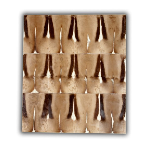 Koberec z kože antilopy Pipsa Springbok, 120 × 180 cm