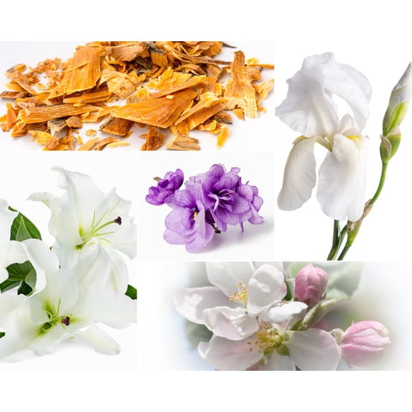 Vonná  sójová sviečka doba horenia 60 h Muscs Poudres – Privé Home-image-2