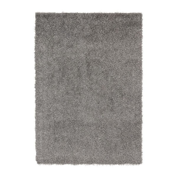 Sivý koberec Denzzo Forlan, 160 x 230 cm