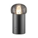 LED prenosné stmievateľné vonkajšie svietidlo na USB ø 10 cm Iris – Blomus