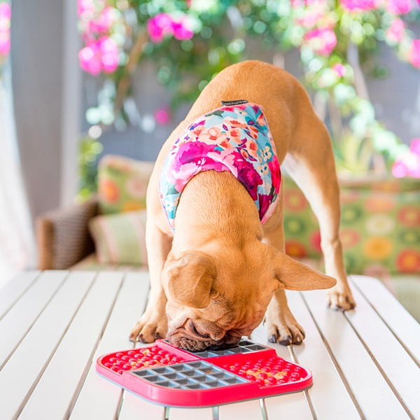 Lízacia podložka Slomo Red – LickiMat-image-1