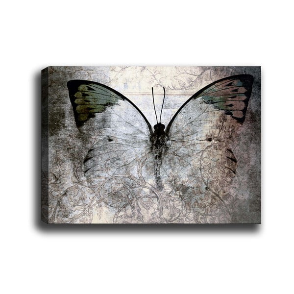 Obraz Tablo Center Fading Butterfly, 70 × 50 cm