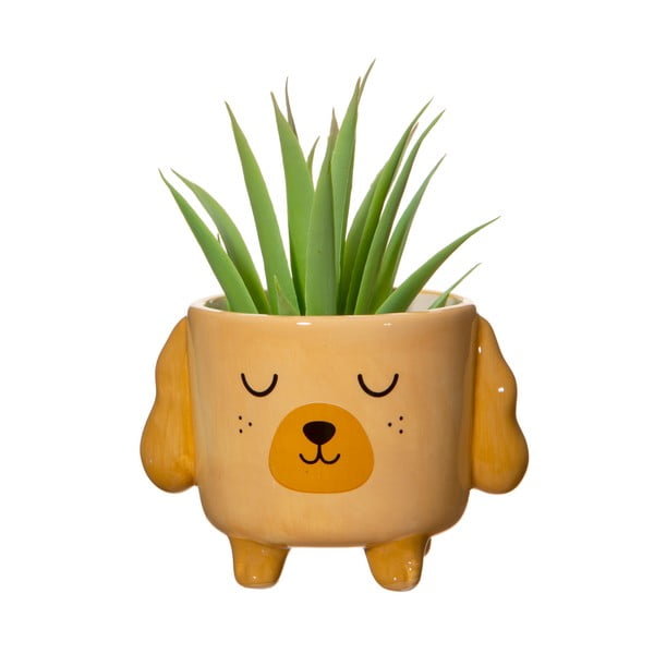 Kamenný obal na kvetináč ø 7,5 cm Cockapoo – Sass & Belle-image-1