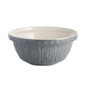 Sivá kameninová misa ø 24 cm Colour Mix – Mason Cash