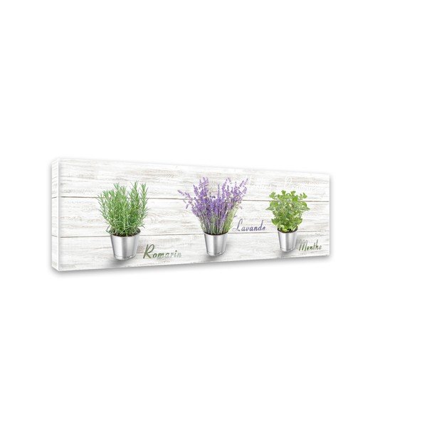 Obraz Styler Canvas Shabby Herbs, 27 × 75 cm-image-2