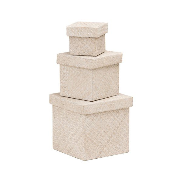 Sada 3 prírodných boxov Premier Housewares Pandalus