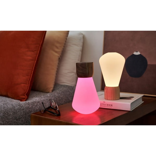 Stmievateľná stolová lampa v prírodnej farbe (výška 13 cm) Pentagon – Gingko-image-3