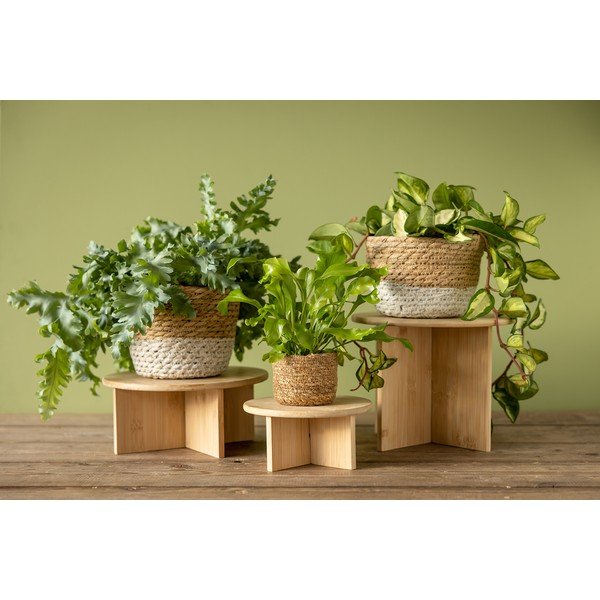Bambusový stojan na kvety ø 25 cm (výška  19,5 cm) – Esschert Design-image-3