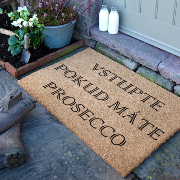 Rohožka z kokosového vlákna 40x60 cm Prosecco – Artsy Doormats-image-3