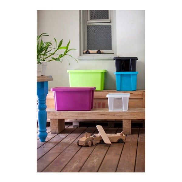 Modrý úložný box s vekom Curver Essentials, 45 l-image-2