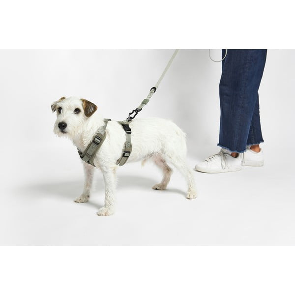 Zelený postroj veľkosť M dĺžka 35 cm Modena Grolive M – MiaCara-image-2