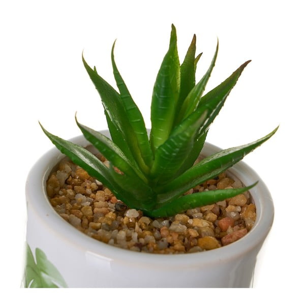 Umelé kvety v súprave 4 ks Cactus – Casa Selección-image-1