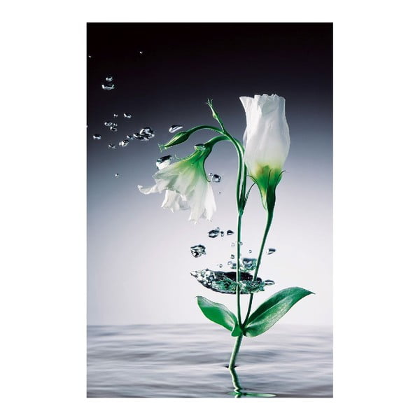 Maxi plagát Crystal Flowers, 115x175 cm