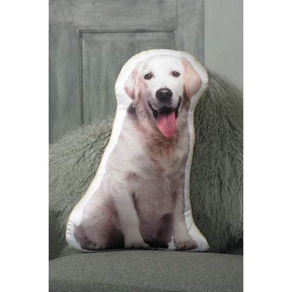 Vankúšik s potlačou Zlatého retrívera Adorable Cushions-image-1