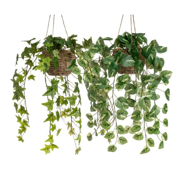 Umelé rastliny v súprave 2 ks (výška 50 cm) – Casa Selección