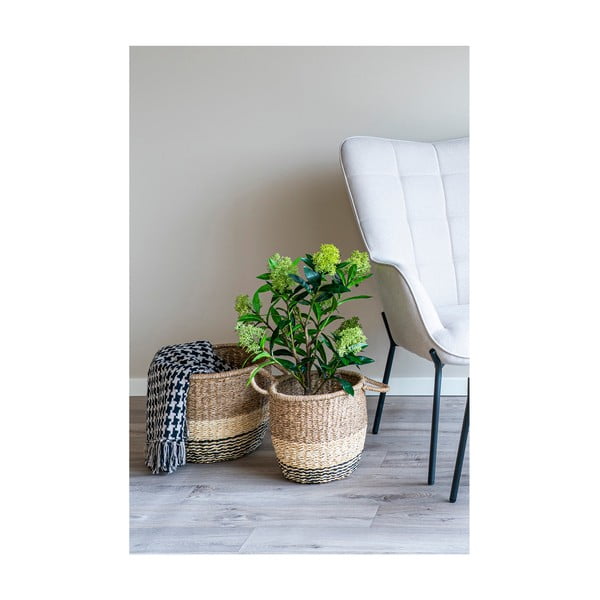 Umelá rastlina Skimmia – House Nordic-image-2