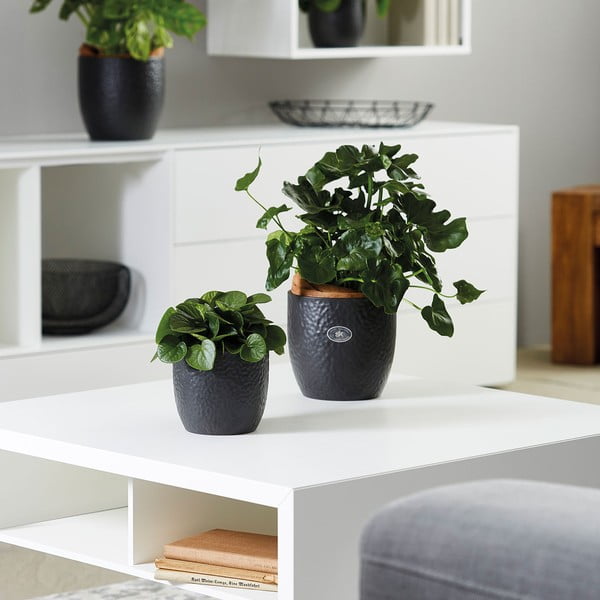 Keramický kvetináč ø 27 cm Boston Mate - Big pots-image-1