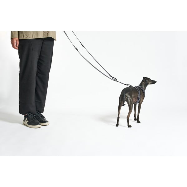 Béžová prepínacia vôdzka dĺžka 200 cm Modena Greige 20 mm – MiaCara-image-2