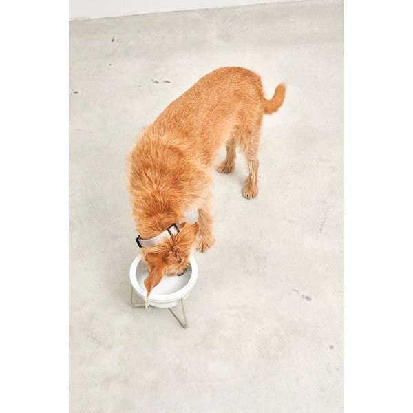 Porcelánová miska s podstavcom pre psa ø 20 cm Pranzo Greige M – MiaCara-image-4