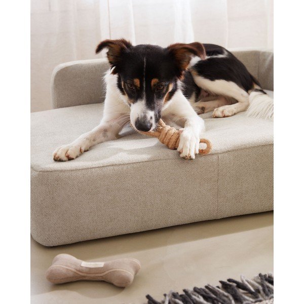 Béžový pelech pre psov 96x70 cm Bowie - Kave Home-image-2