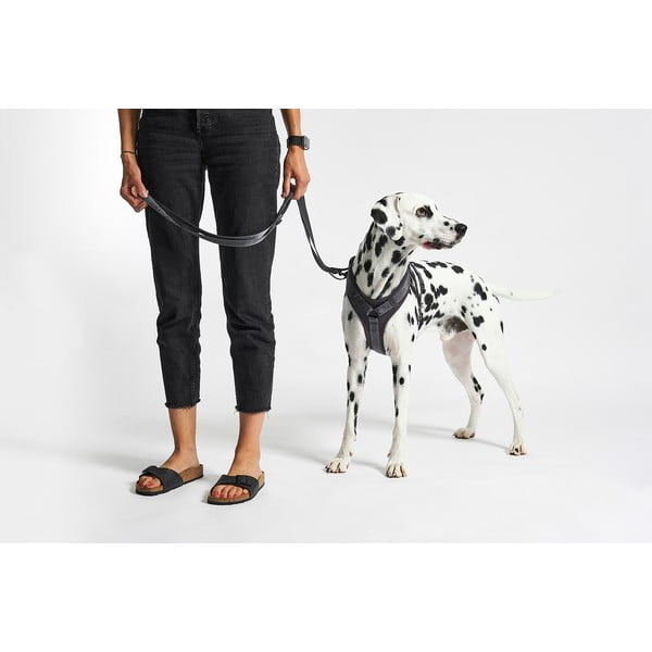 Tmavosivý postroj veľkosť L dĺžka 42 cm Modena Asphalt L – MiaCara-image-1