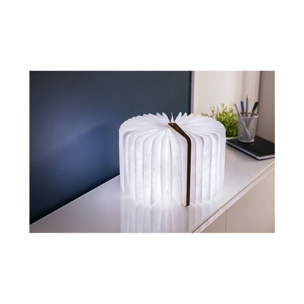 Svetelná dekorácia na USB v prírodnej farbe Booklight – Gingko-image-3