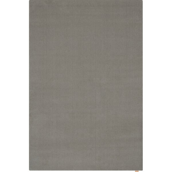Sivý vlnený koberec 200x300 cm Calisia M Smooth – Agnella