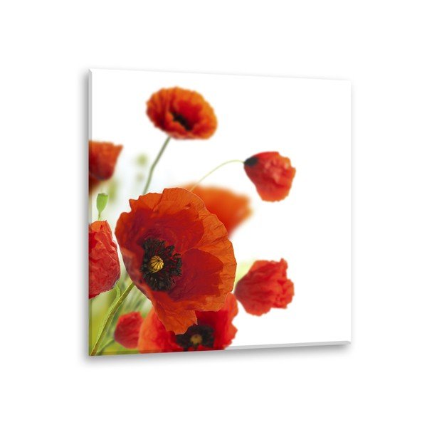 Obraz Styler Glas Maki Poppies, 30 × 30 cm-image-2