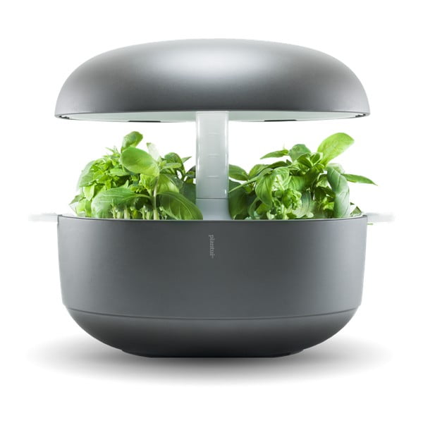 Domáca inteligentná sivá záhradka Plantui 6 Smart Garden Grey