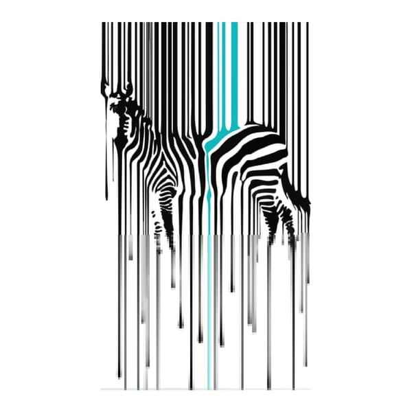 Obraz na plátne Zebra, 70 x 100 cm
