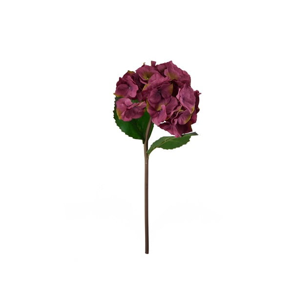 Dekoratívna kvetina Moycor Hydrangea, 55 cm