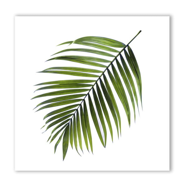 Obraz Styler Canvas Greenery Black Palm, 32 x 32 cm