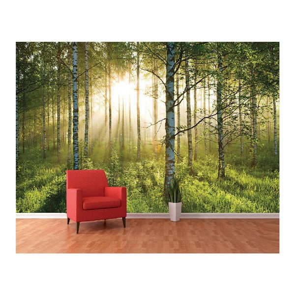 Veľkoformátová tapeta Presvetlený les, 360x253 cm