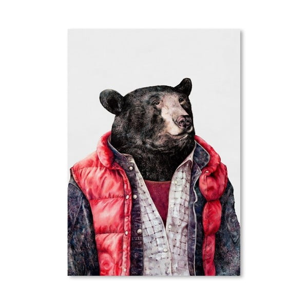 Plagát Black Bear, 30x42 cm