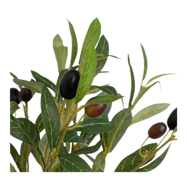 Umelý olivovník - Casa Selección-image-2