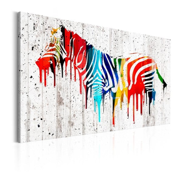 Obraz na plátne Bimago Colourful Zebra, 60 x 40 cm