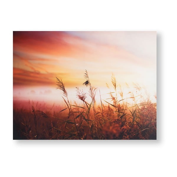 Obraz Graham & Brown Morning Sunrise Meadow, 80 × 60 cm