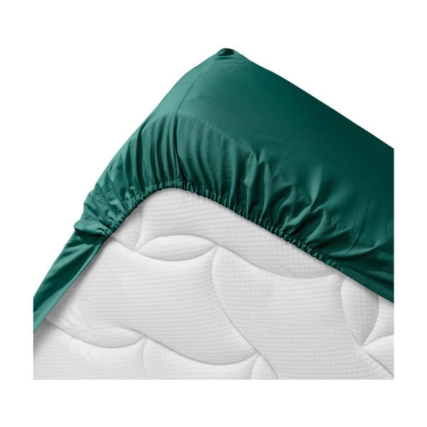 Zelená napínacia plachta z Bio bavlny 160x200 cm Biolina – douceur d'intérieur-image-3